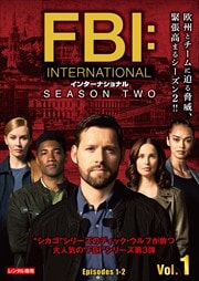 FBI󥿡ʥʥ 2