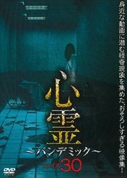  ѥǥߥå ե30
