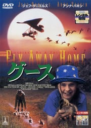 グース