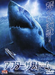 アフター・ザ・ストーム