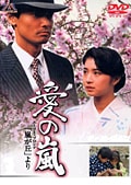 愛の嵐 13