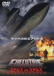 ステルスvsステルス エグゼクティブコマンド